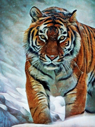 Picture of SIBERIAN TIGER STALKING 