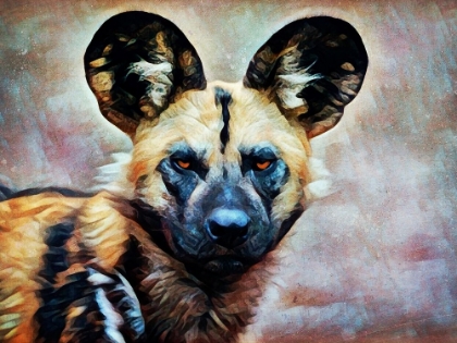 Picture of AFRICAN WILD DOG WATCH