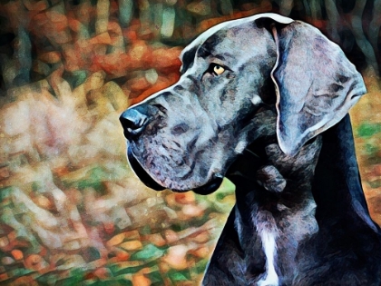 Picture of GREAT DANE GREATNESS