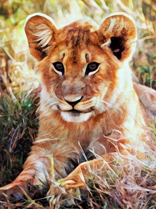 Picture of LION CUB FUTURE KING 