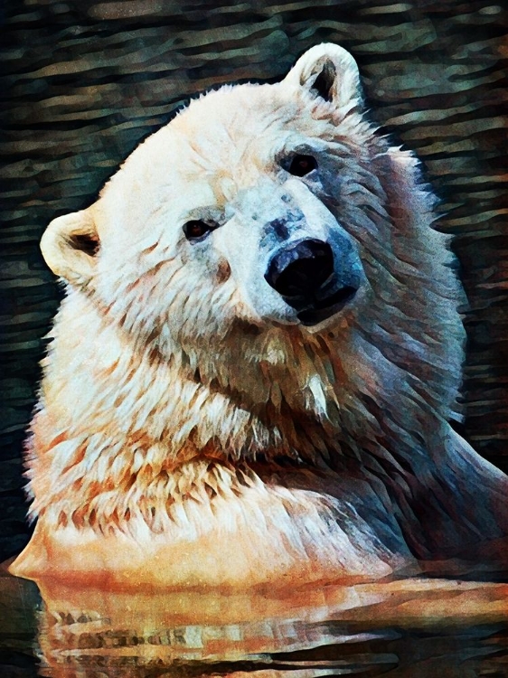 Picture of POLAR BEAR BATH TIME