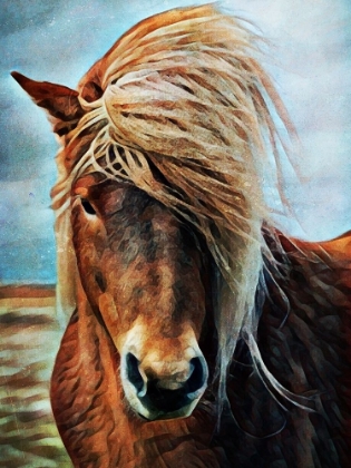 Picture of ICELANDIC HORSE WIND BLOWN BLONDE