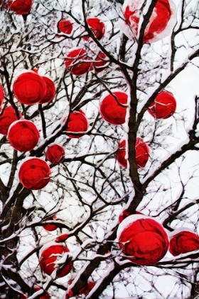 Picture of SNOWY RED BAUBLE BRANCHES I
