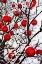 Picture of SNOWY RED BAUBLE BRANCHES I