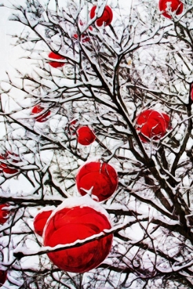 Picture of SNOWY RED BAUBLE BRANCHES II