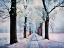Picture of WALK DOWN WINTER LANE