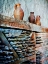 Picture of DUSTY WINE BOTTLES DISCOVERED