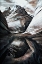 Picture of LAYERED ROCK REFLECTED
