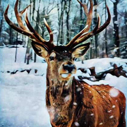 Picture of A LITTLE SNOW HERE REINDEER