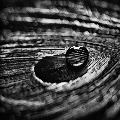 Picture of MONOCHROME FEATHER DROPLET