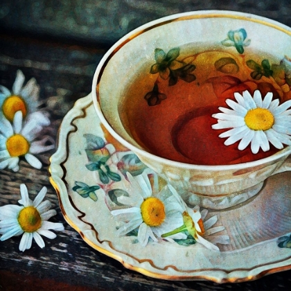 Picture of DAISY TEACUP AND SAUCER