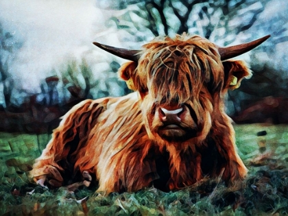 Picture of HIGHLAND COW KINDA REST