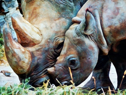 Picture of RHINOCEROS AND CALF CONNECTION