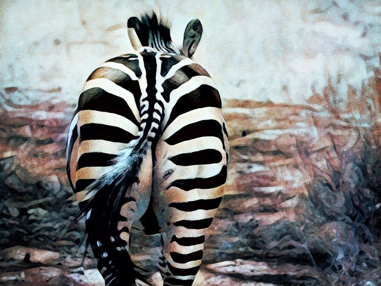 Picture of ZEBRA BUTT BEAUTIFUL