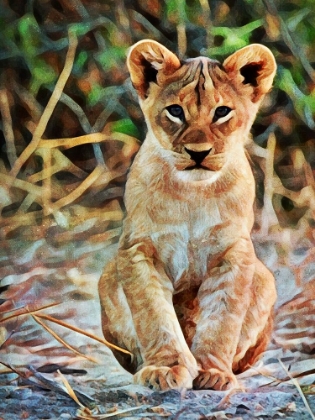 Picture of LION CUB SITTING SENTINEL