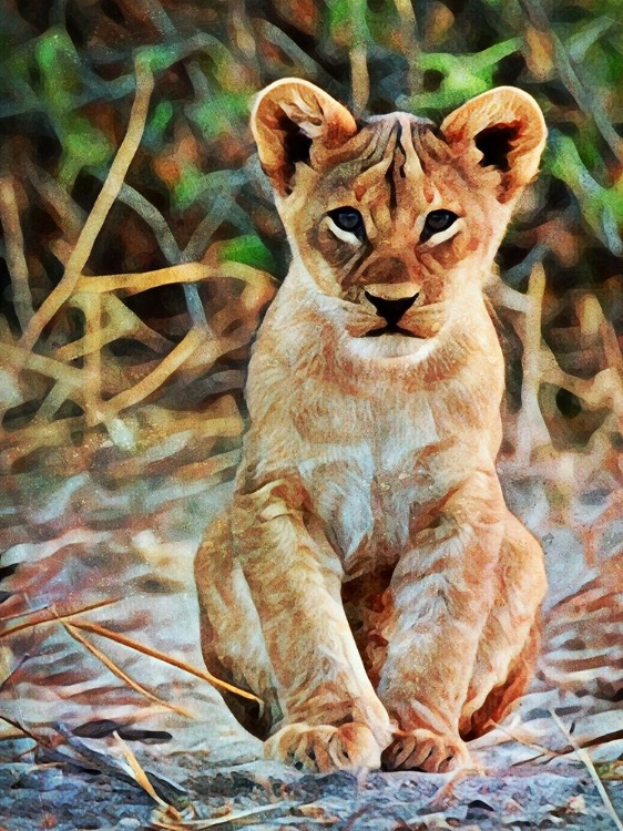 Picture of LION CUB SITTING SENTINEL