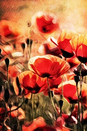 Picture of POPPY FIELDS IN FOCUS I