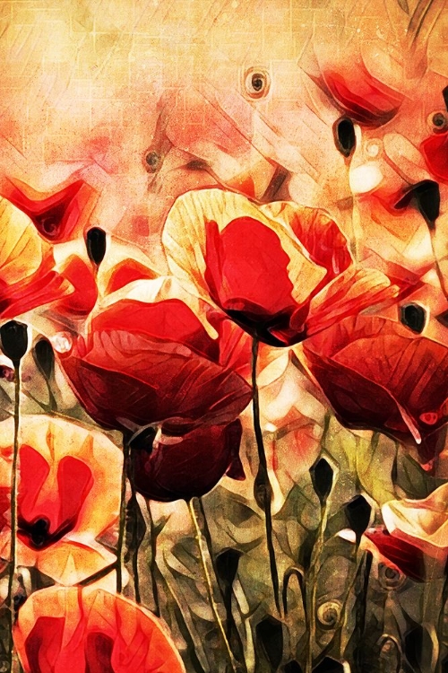 Picture of POPPY FIELDS IN FOCUS II