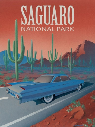 Picture of SAGUARO NATIONAL PARK WITH TEXT