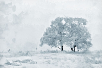 Picture of SNOW TREE