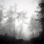 Picture of OTHERWORLDLY