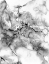 Picture of MARBLE