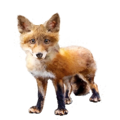 Picture of LIL FOX STANDING