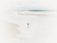 Picture of BLEACHED BIRD