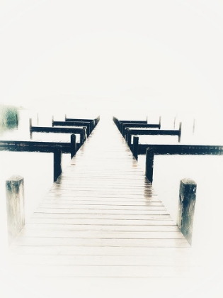 Picture of BLEACHED PIER I