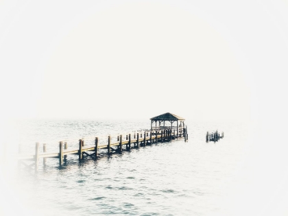 Picture of BLEACHED PIER II