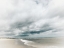 Picture of BLEACHED STORM IV