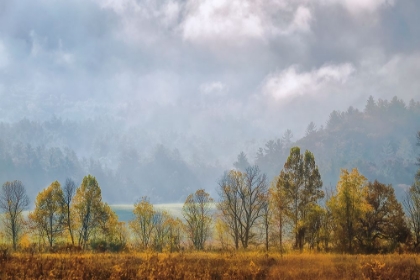 Picture of LIFTING FOG