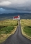Picture of ON THE HILL I