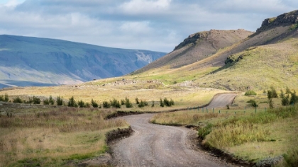 Picture of HERDING SHEEP I