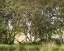 Picture of RED HAMMOCK