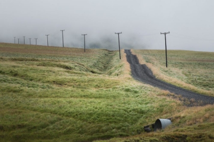 Picture of LONELY ROAD