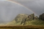 Picture of MOUNTAIN RAINBOW