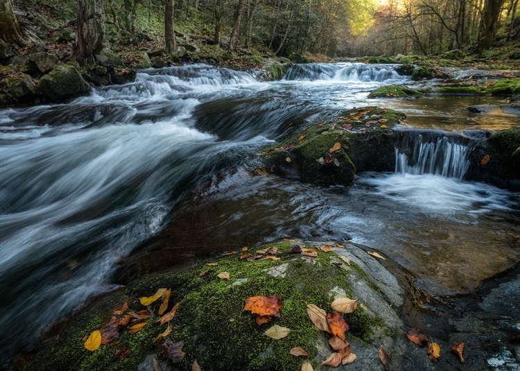 Picture of MOSSY ROCKS