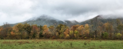 Picture of COVE PANORAMA