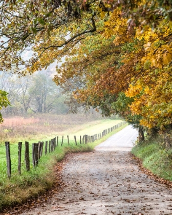 Picture of COVE LANE II