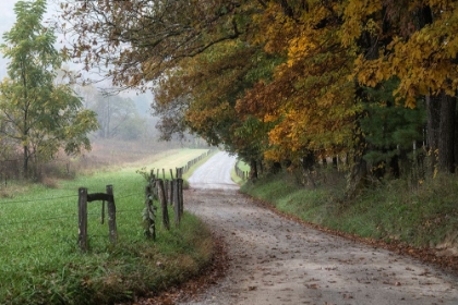 Picture of COVE LANE III