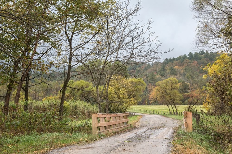 Picture of COVE CROSSING