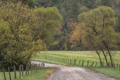 Picture of ROADS AND FENCES