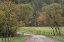 Picture of ROADS AND FENCES