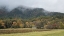 Picture of THE HOMESTEAD