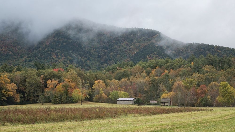 Picture of THE HOMESTEAD