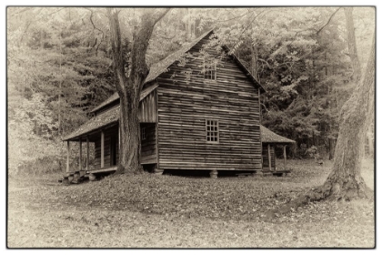 Picture of EARLY CABIN