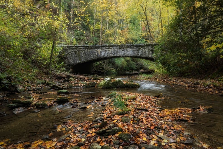 Picture of ARCHED BRIDGE