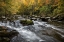 Picture of AUTUMN AT TREMONT III