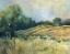 Picture of PASTORAL FIELD